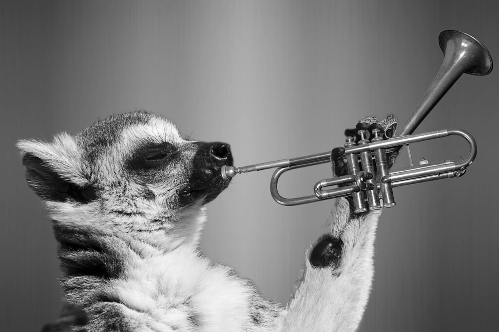 Lemur mit Trompete (Fotomontage)